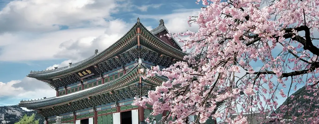 view of traditional korean palace with cherry blossoms
