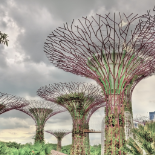 Gardens by the Bay